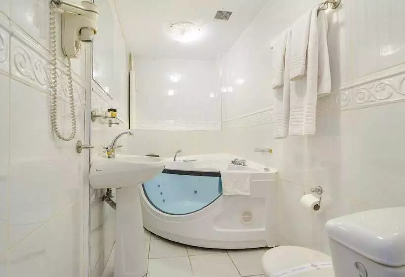 酒店 Imparatul Romanilor