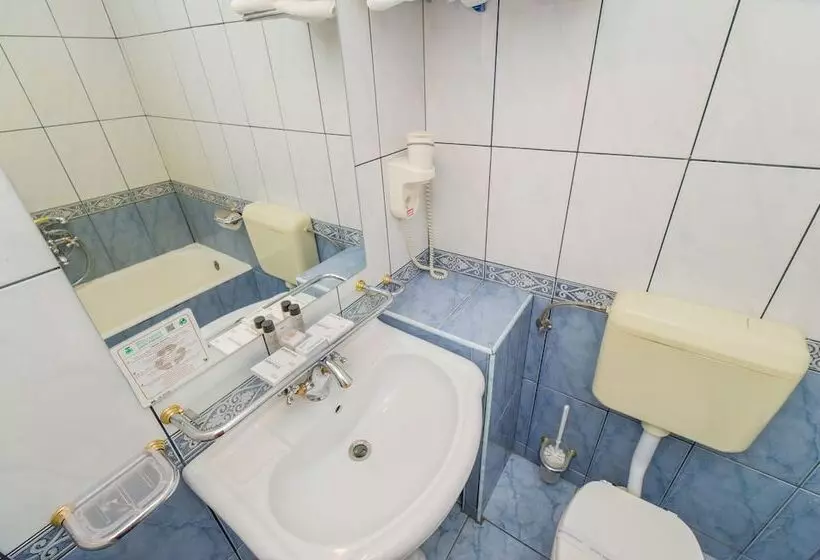 酒店 Imparatul Romanilor