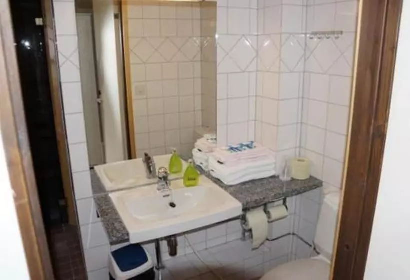 בית מלון כפרי Li Pellonhovi