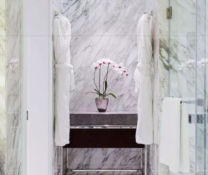 هتل Metropol  Moscow