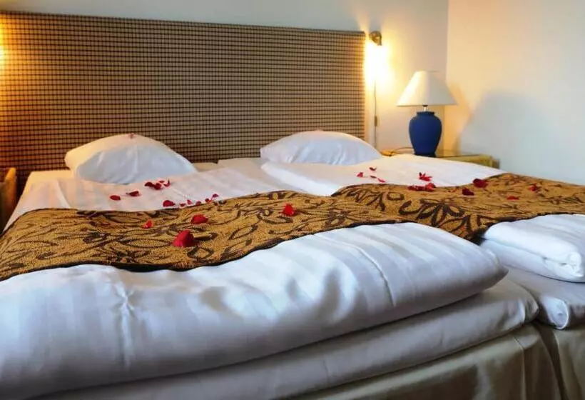 בית מלון כפרי Seurahuone