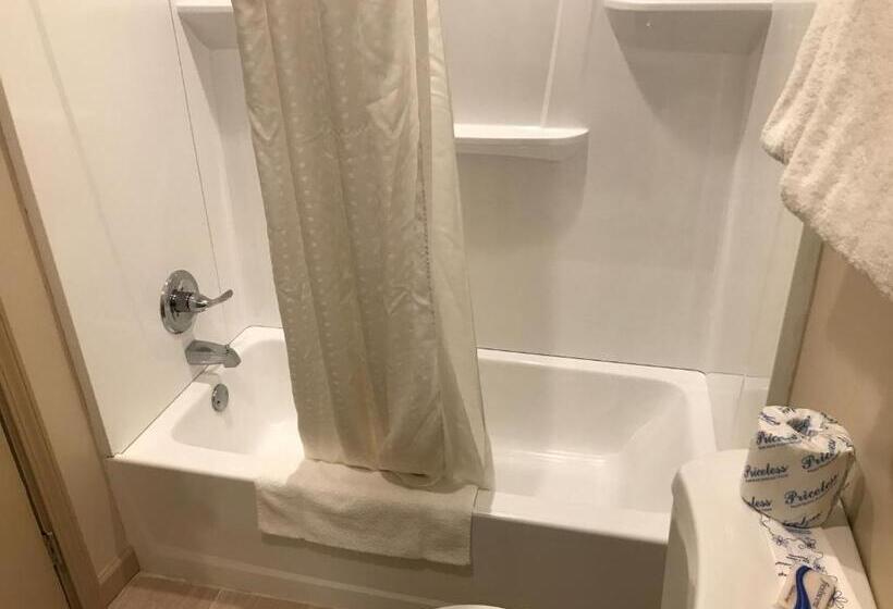 هتل Allen Park Motor Lodge