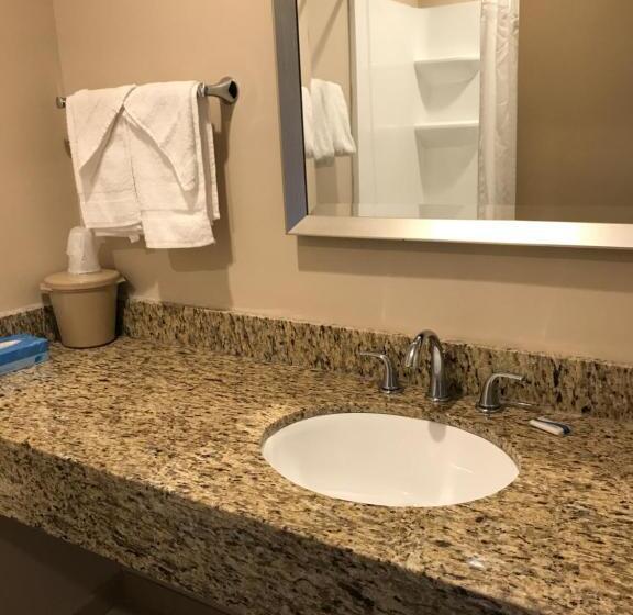 هتل Allen Park Motor Lodge