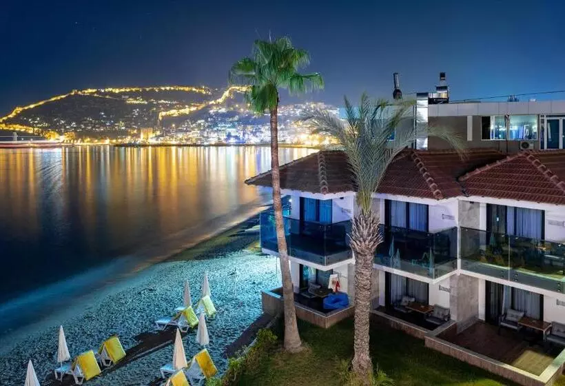 בית מלון כפרי Panorama