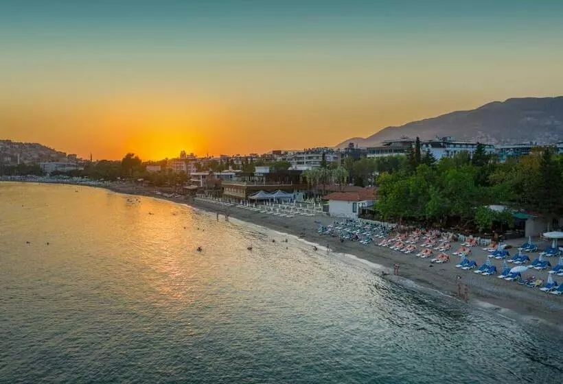 בית מלון כפרי Panorama