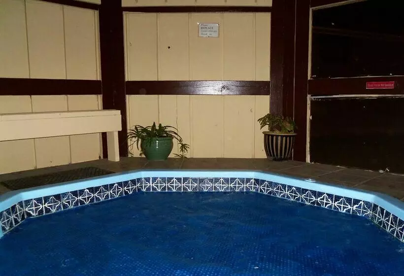 ホテル Apollo Motor Inn