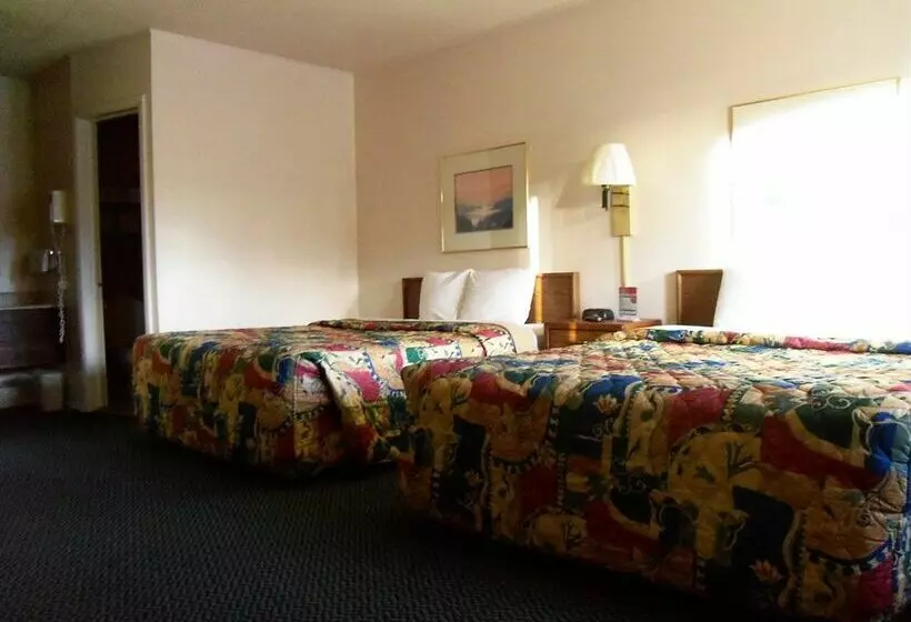 ホテル Apollo Motor Inn