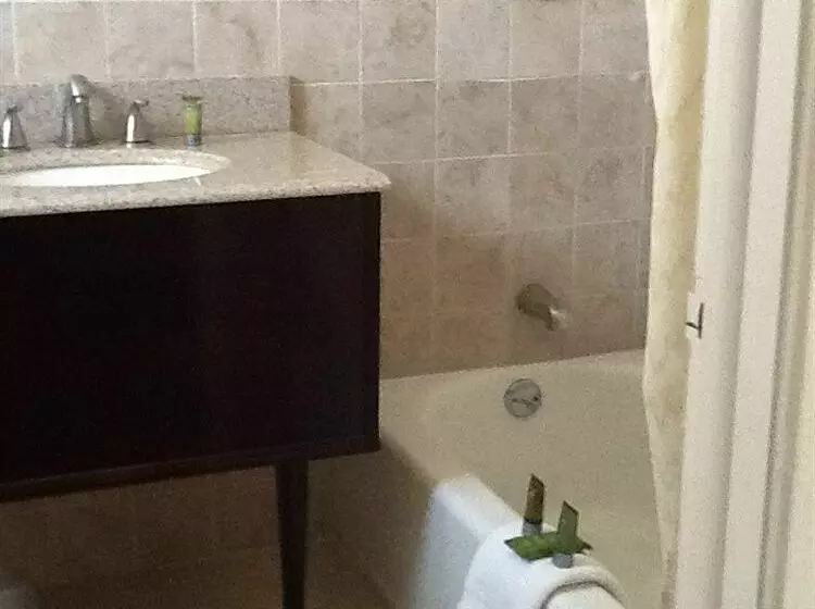 ホテル Apollo Motor Inn