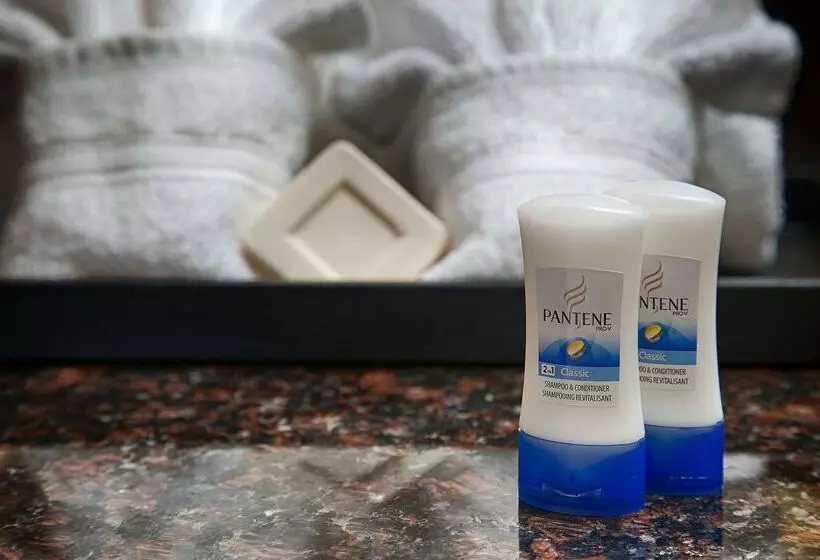 فندق Best Western Acworth Inn