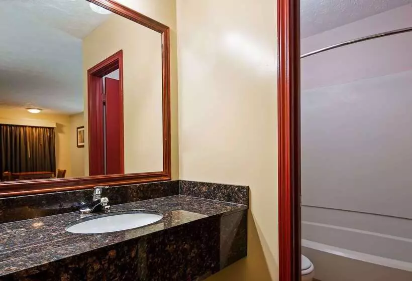 فندق Best Western Acworth Inn