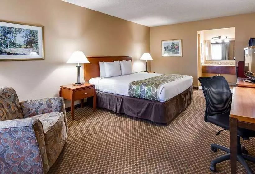 فندق Best Western Cottonwood Inn