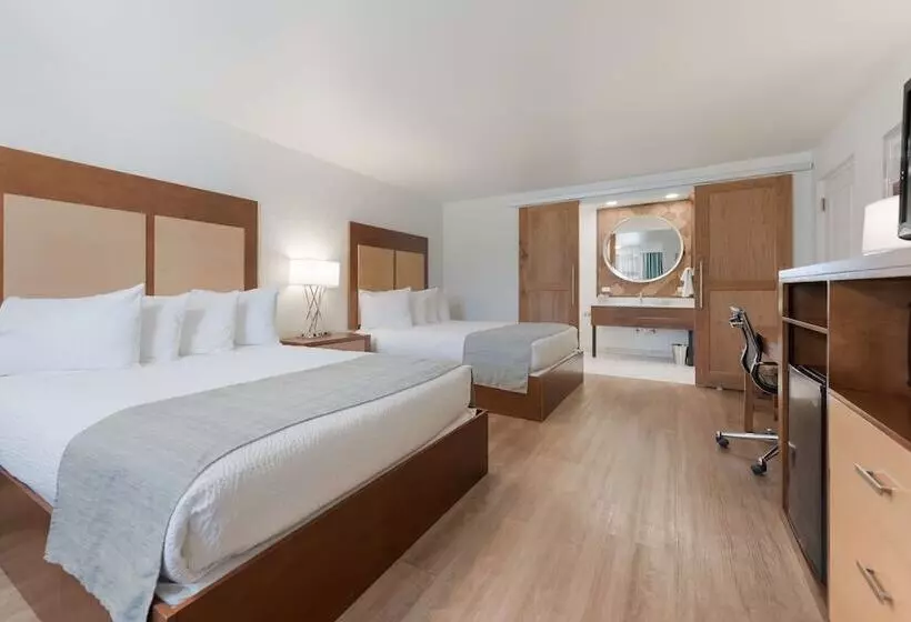 Отель Best Western Foothills Inn