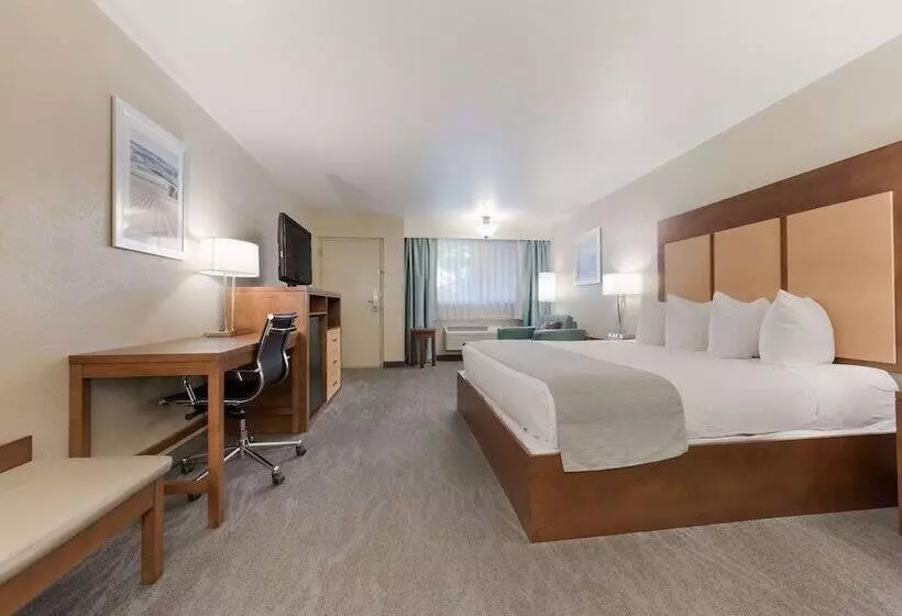 Отель Best Western Foothills Inn