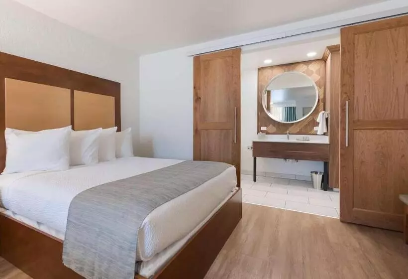 Отель Best Western Foothills Inn