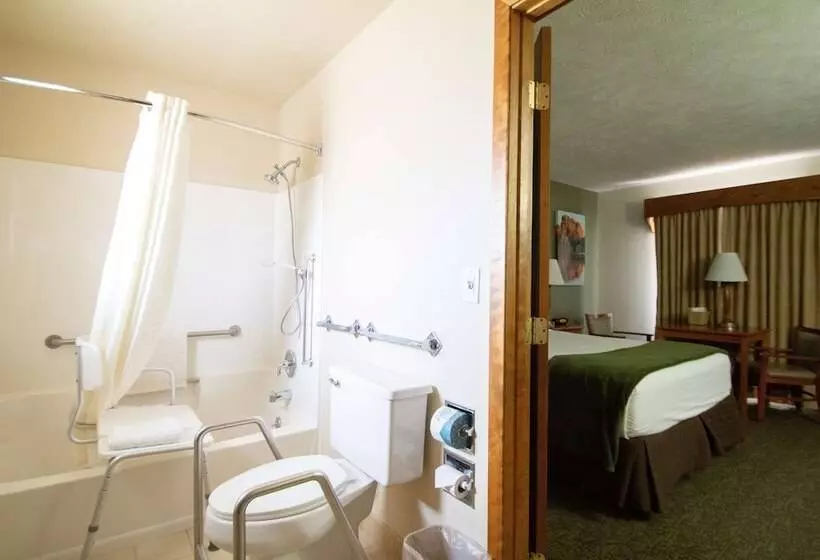 Отель Best Western Grahams