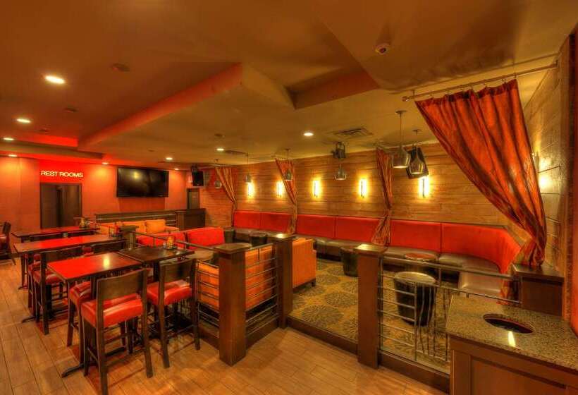 酒店 Best Western Newport Inn