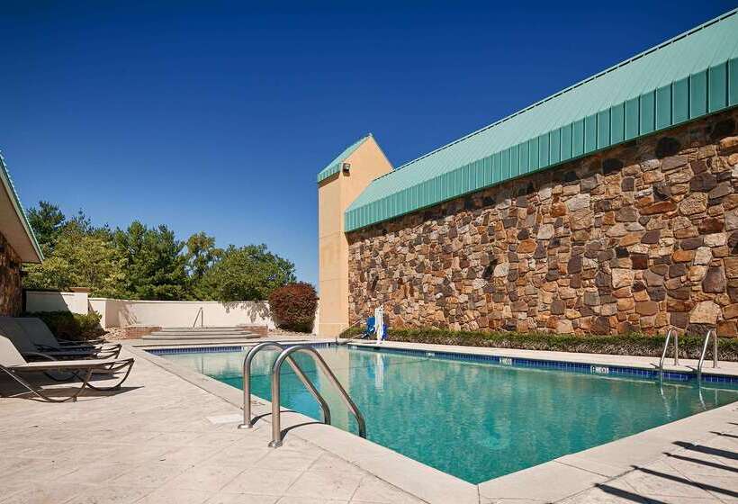 酒店 Best Western Newport Inn