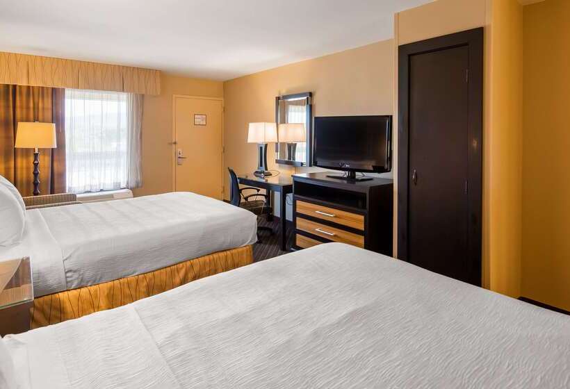 酒店 Best Western Newport Inn