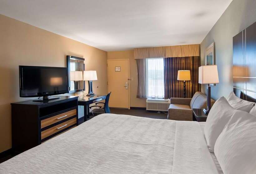 酒店 Best Western Newport Inn