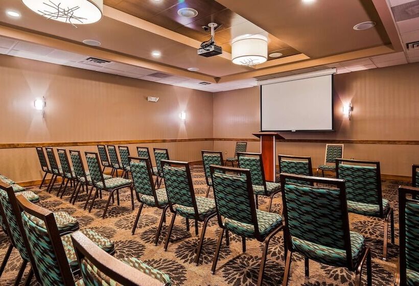 酒店 Best Western Newport Inn