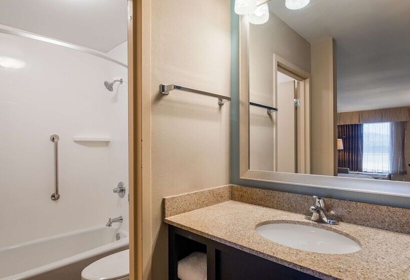 酒店 Best Western Newport Inn