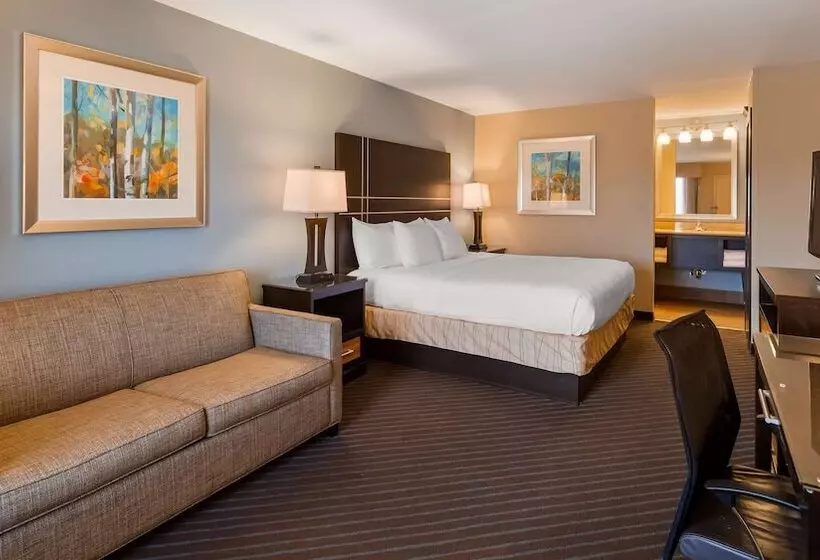 호텔 Best Western Newport Inn