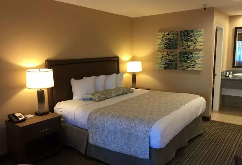 호텔 Best Western Plus Inn Scotts Valley