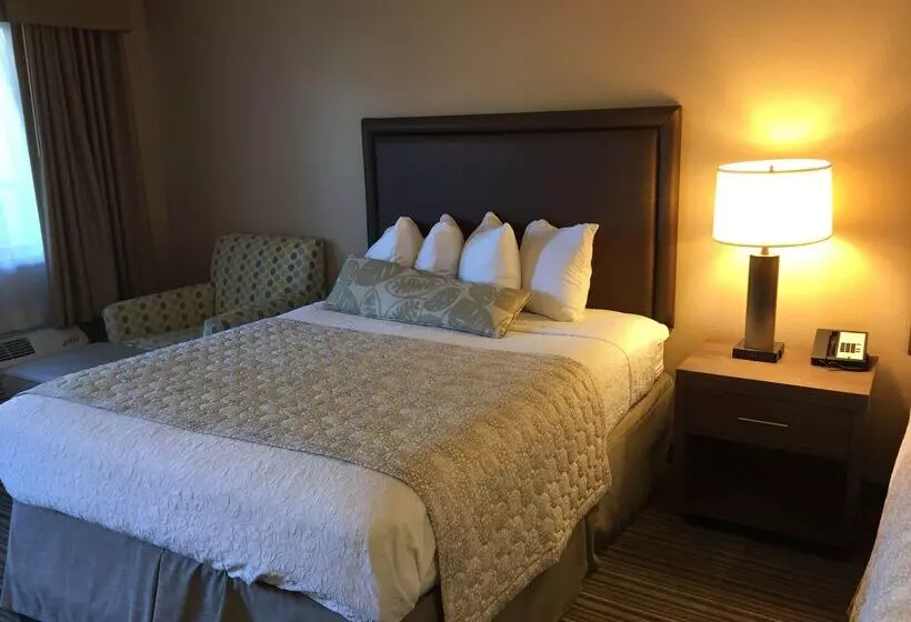 호텔 Best Western Plus Inn Scotts Valley