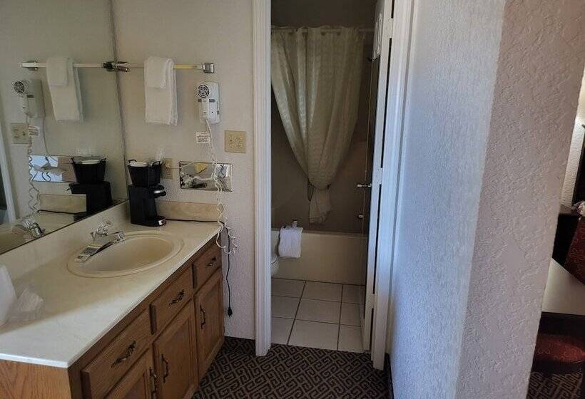 酒店 Blue Ribbon Inn And Suites