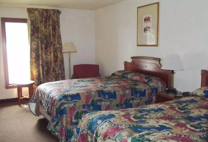 ホテル Budget Inn & Suites