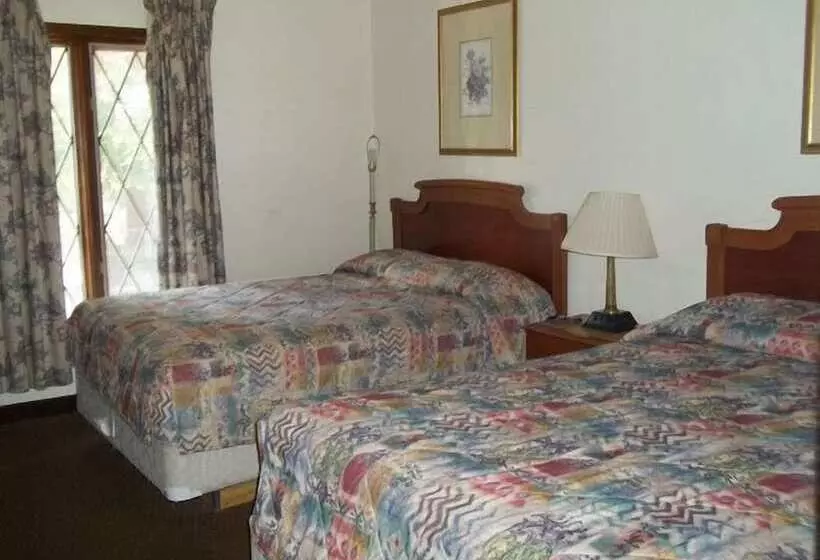 ホテル Budget Inn & Suites