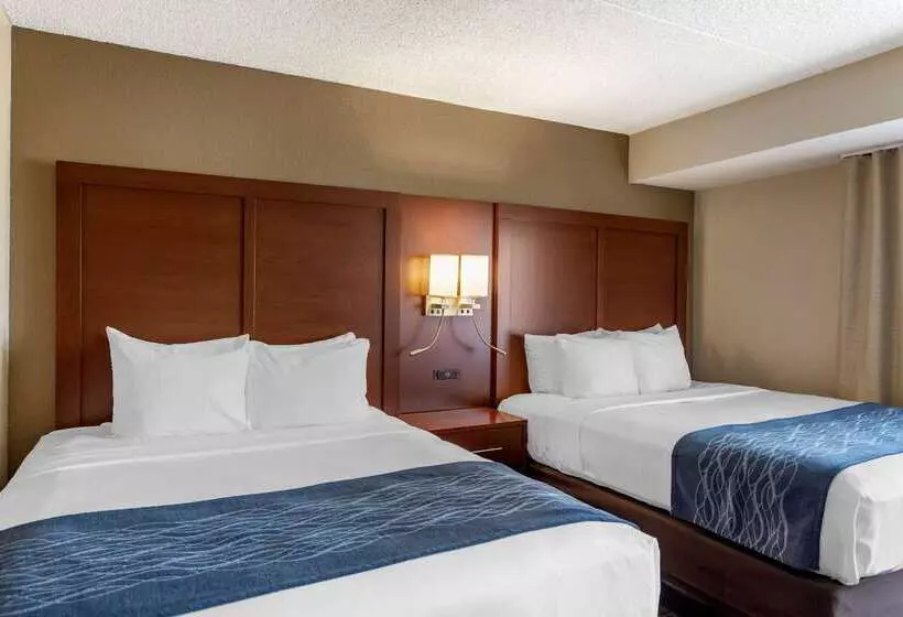 호텔 Comfort Inn & Suites Rochelle   Dekalb