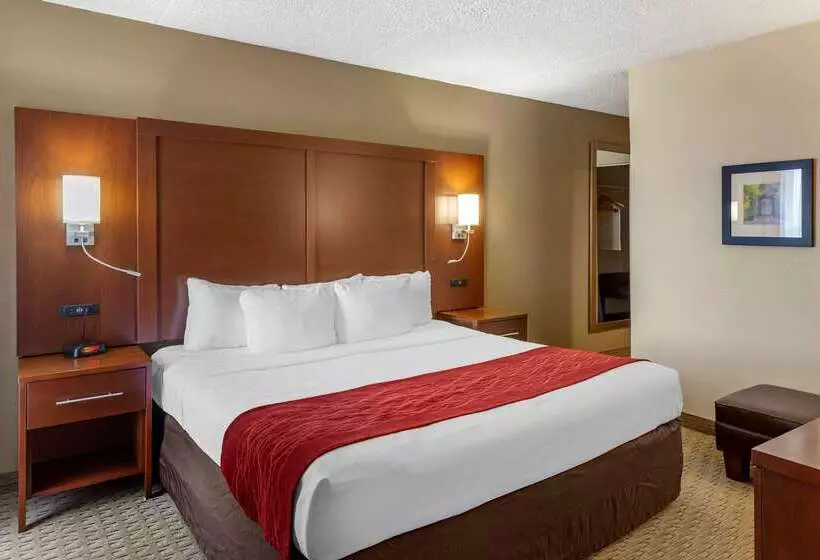 호텔 Comfort Inn & Suites Rochelle   Dekalb