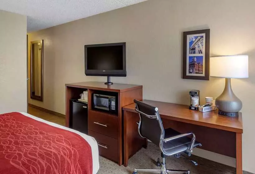 호텔 Comfort Inn & Suites Rochelle   Dekalb