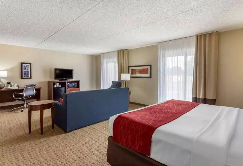 호텔 Comfort Inn & Suites Rochelle   Dekalb