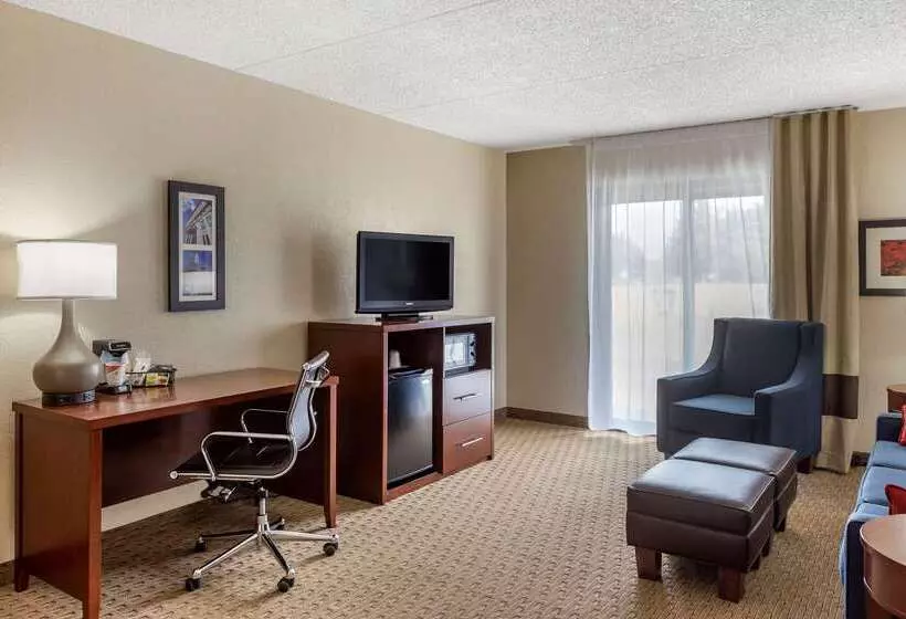 호텔 Comfort Inn & Suites Rochelle   Dekalb