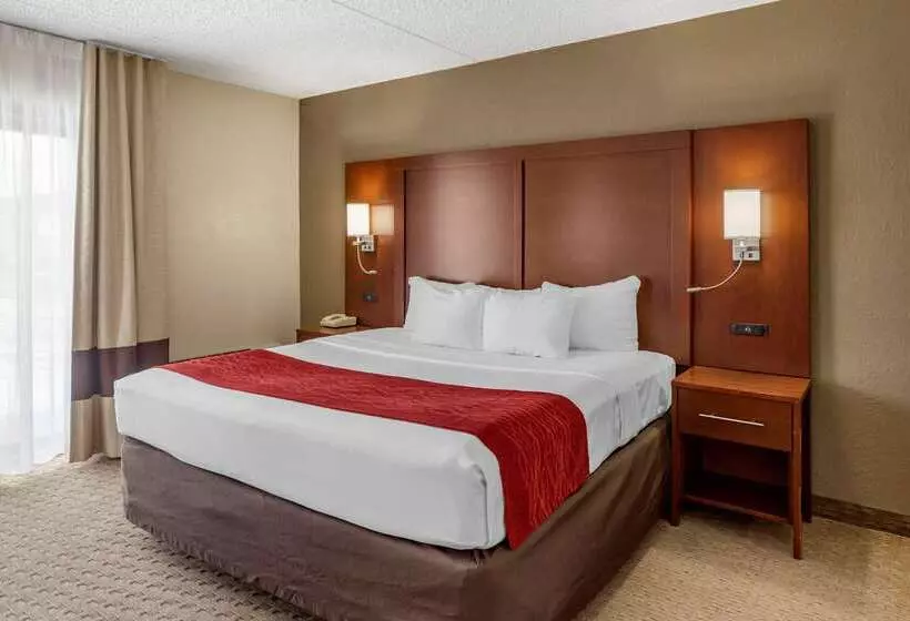 호텔 Comfort Inn & Suites Rochelle   Dekalb