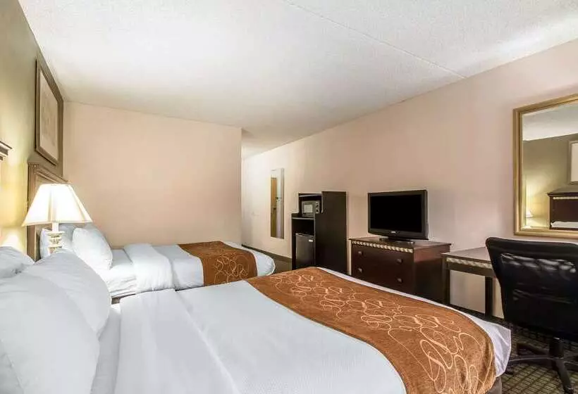 호텔 Comfort Inn & Suites Rochelle   Dekalb