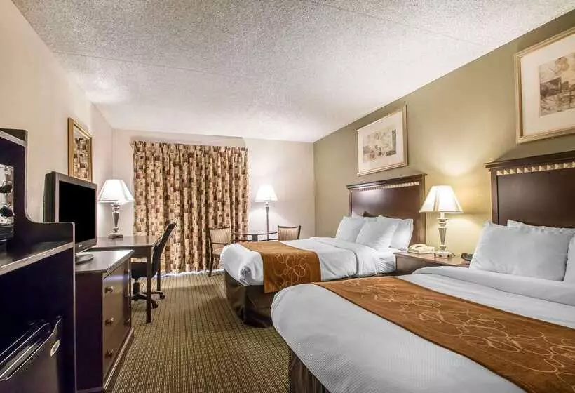 호텔 Comfort Inn & Suites Rochelle   Dekalb