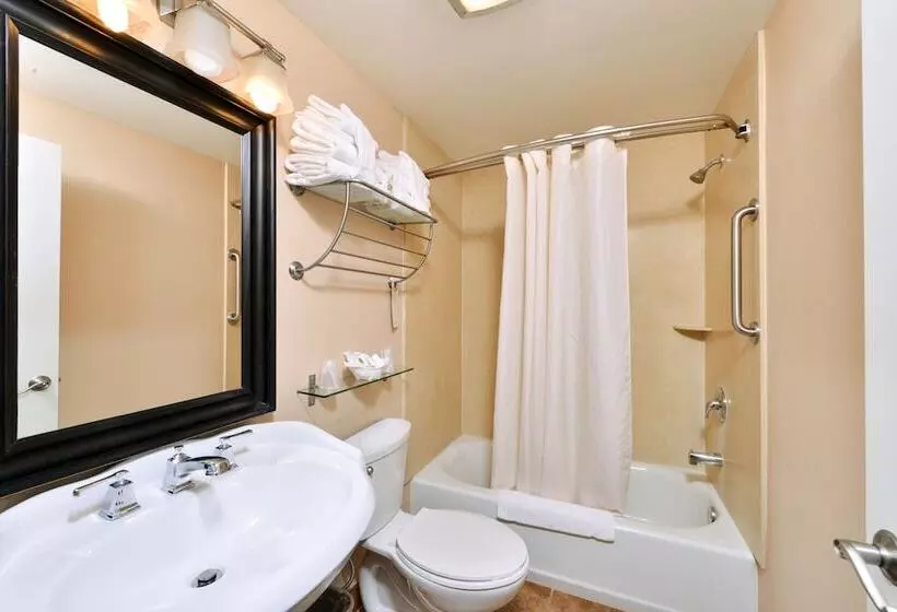 酒店 Dana Point Marina Inn