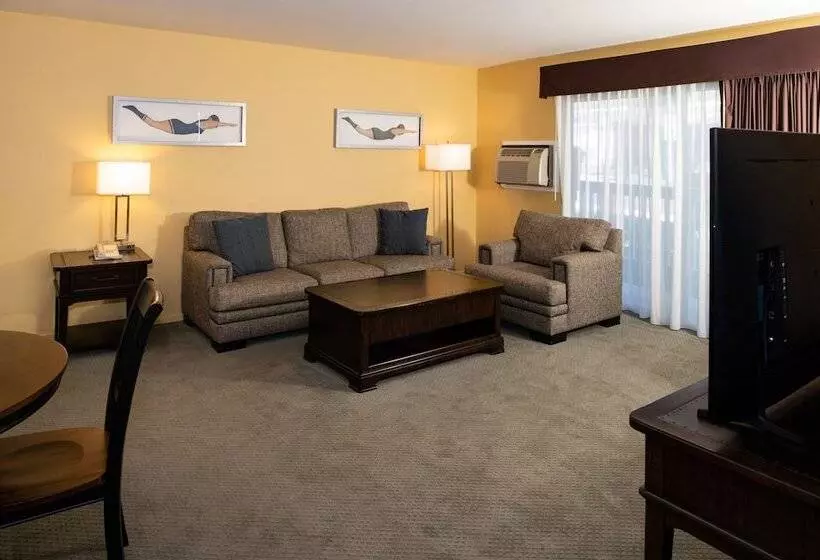 酒店 Dana Point Marina Inn