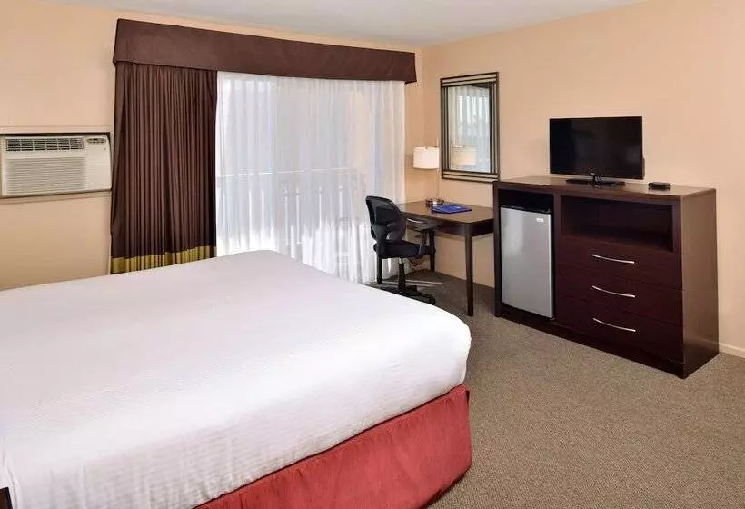 酒店 Dana Point Marina Inn