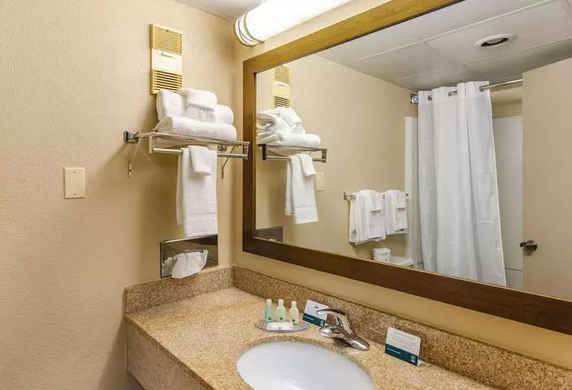 호텔 Quality Inn Radfordwest Blacksburg I81