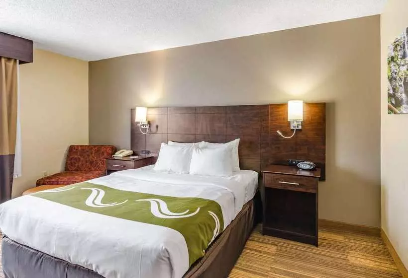 호텔 Quality Inn Radfordwest Blacksburg I81