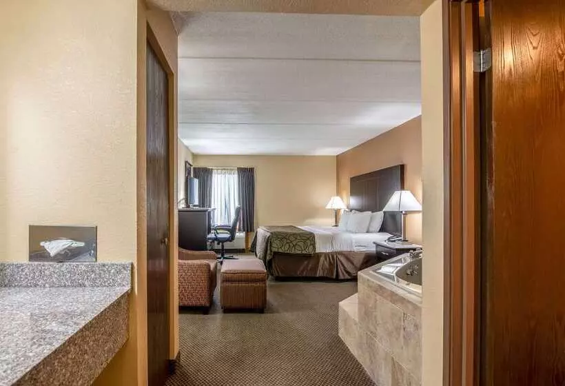 Hotel Quality Inn Tully I 81