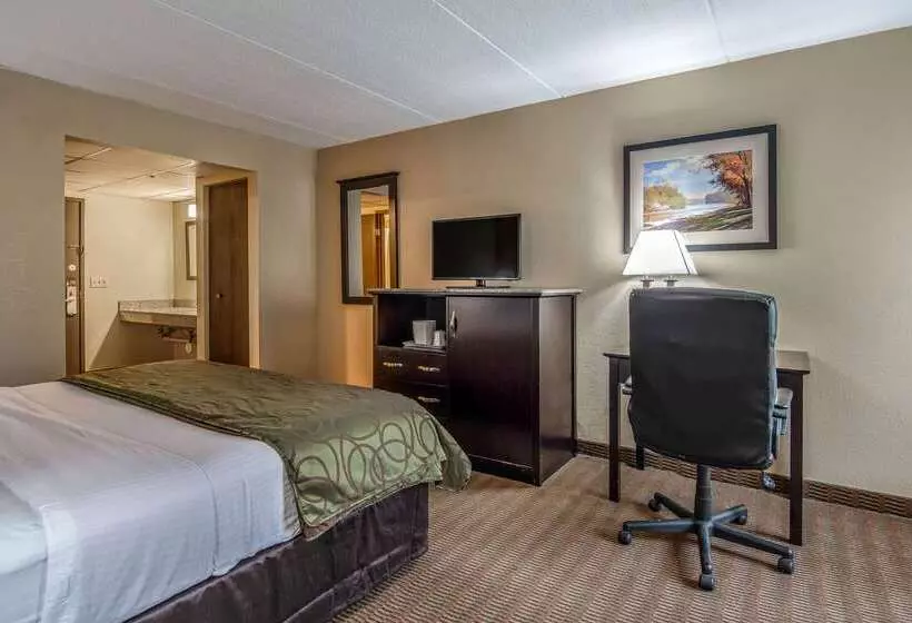 Hotel Quality Inn Tully I 81