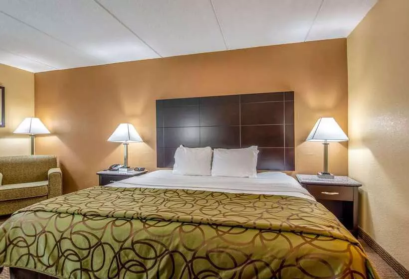 Hotel Quality Inn Tully I 81