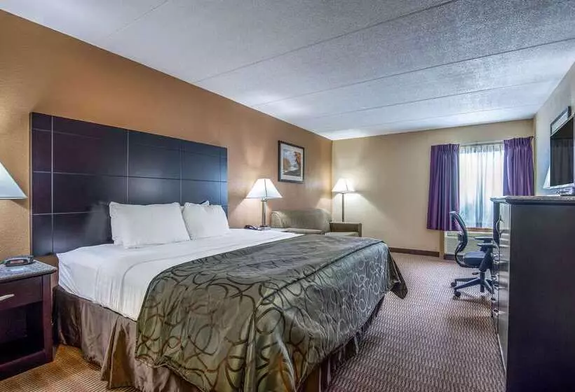 Hotel Quality Inn Tully I 81