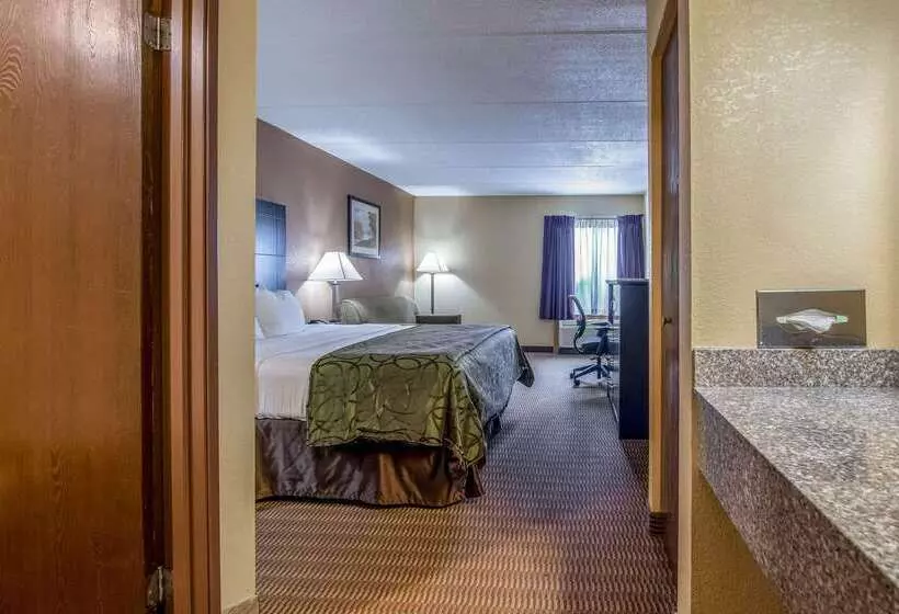 Hotel Quality Inn Tully I 81