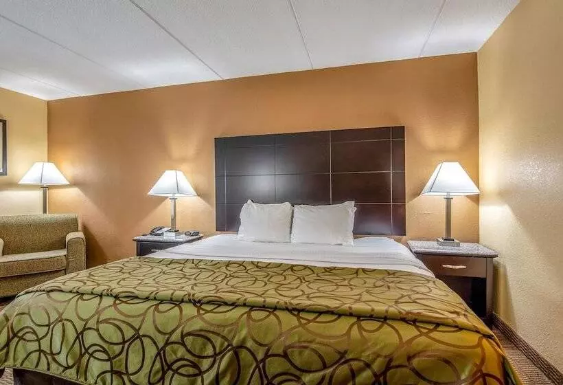 Hotel Quality Inn Tully I 81